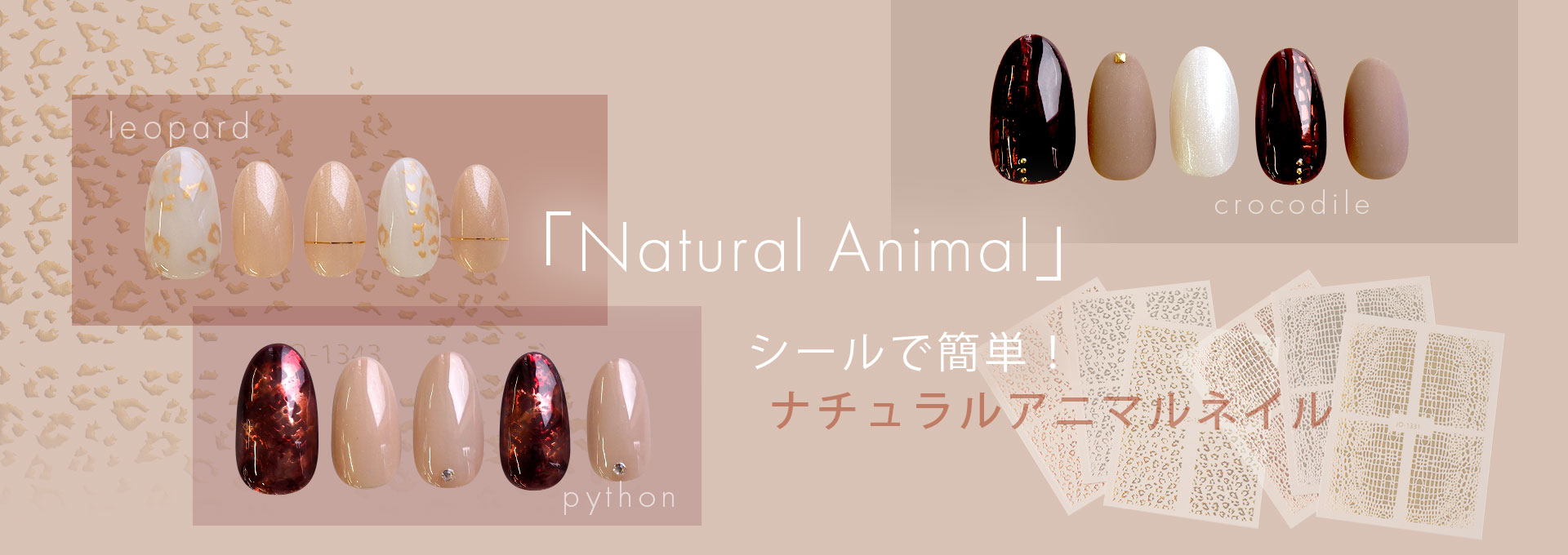 /assets/images/mv/20240918_flashset.jpg