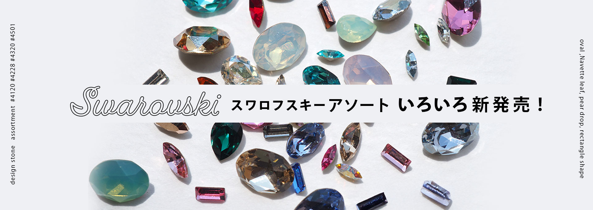 /assets/images/mv/20241016_bijou.jpg