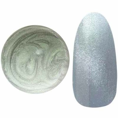 048MAG　マグネットカラージェル　25gel